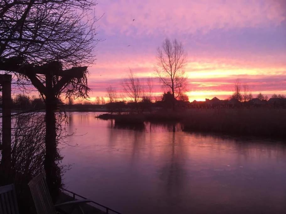 Gezellige Pipo Met Grote Schommel Aan Het Water Villa Medemblik Exteriör bild