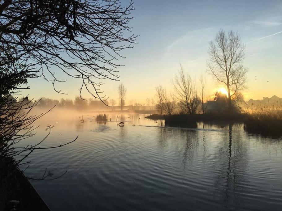 Gezellige Pipo Met Grote Schommel Aan Het Water Villa Medemblik Exteriör bild