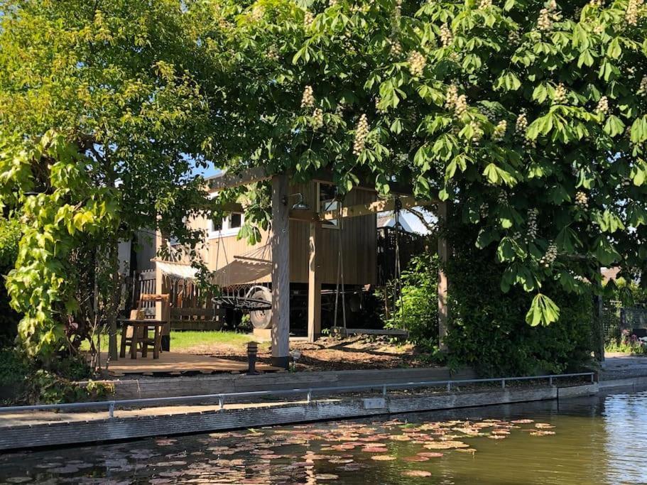 Gezellige Pipo Met Grote Schommel Aan Het Water Villa Medemblik Exteriör bild